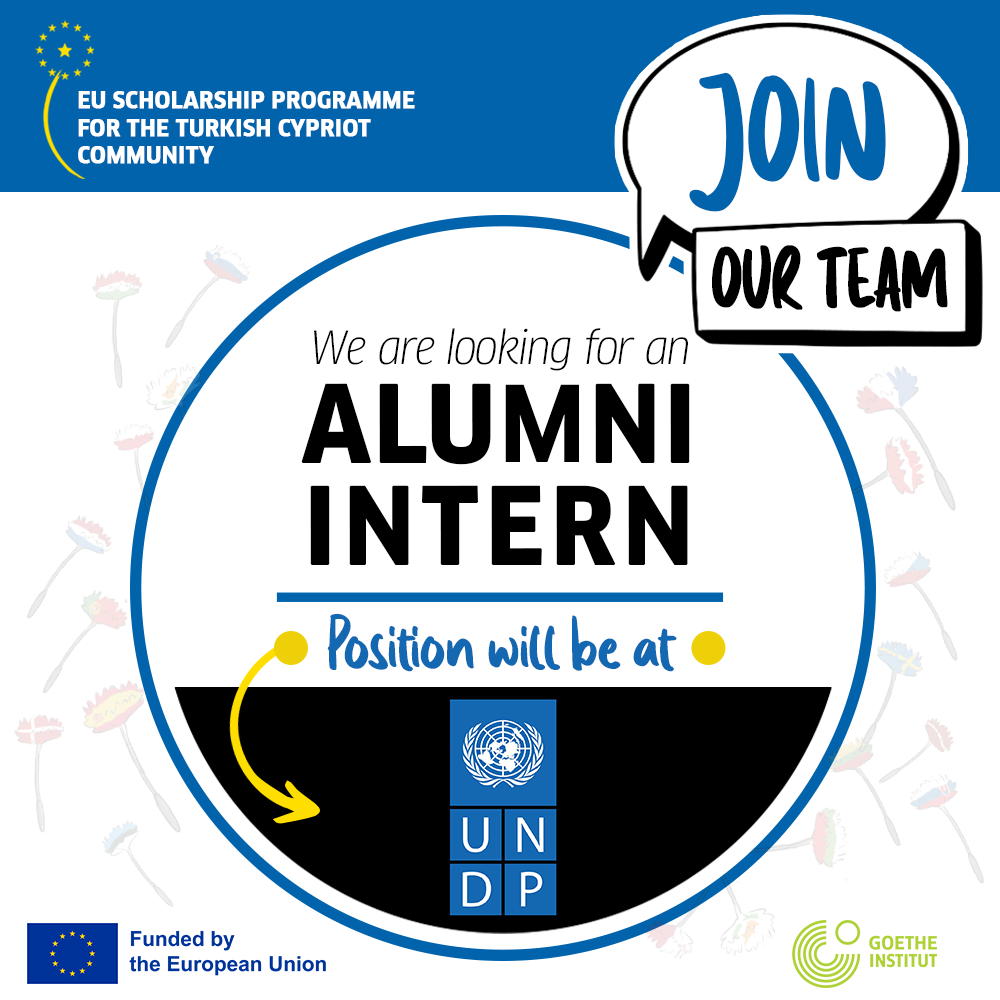 ALUMNI INTERNSHIP CALL FOR UNDP 2025
